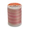 Sulky 12 Wt. Cotton Blendables Thread - Princess Garden - 300 yd. Spool